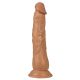 Latin Lover Dildo Met Zuignap - 20 cm