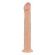 Shawn Realistische Dildo Met Zuignap - 31 cm